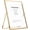 Gold, variant on Silver 4x6 Floating Picture Frame for Photo(2x3'',3.5x5''),Adjustable Tabletop/Shelf,Floating Picture Frames 2x3'',Classy Metal Gift Frames for Wedding,Thanksgiving,Christmas