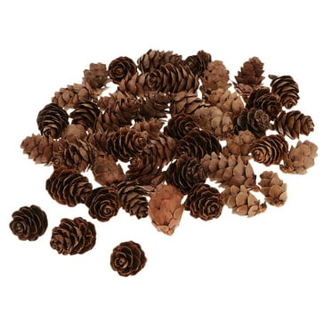 60 PCS Mini Cones- 1.2CM Thanksgiving cones Ornaments Vase Fillers for DIY Crafts, Home Decorations, Christmas,Wedding Decor
