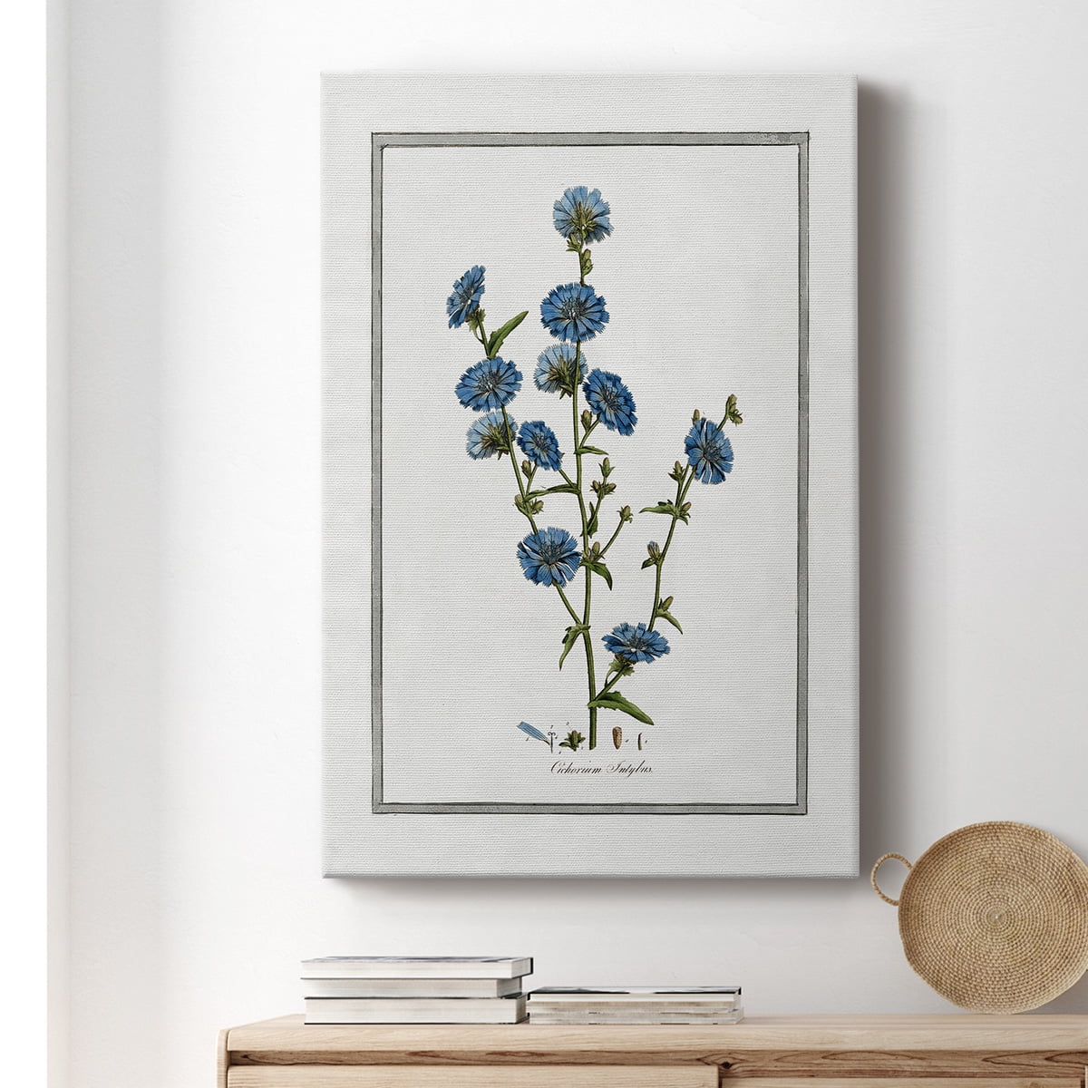 Soft Botanical I Premium Gallery Wrapped Canvas - Ready to Hang