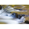 thumbnail image 2 of Paulson, Don 18x13 Black Ornate Wood Framed with Double Matting Museum Art Print Titled - TN, Cherokee NF Reflections on North River, 2 of 4