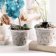 thumbnail image 5 of Orchid Pots- 7 Inch- 5 Pots and Saucers, Orchid Pots with Holes and Clear Plastic Orchid Pots for Repotting, 5 of 8