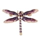 thumbnail image 5 of Jumpingount Broche de mujer de la serie de insectos de esmalte de moda de aleación - Broche de solapa vibrante y moderno Broches elegantes púrpura 2Conjunto, 5 of 6