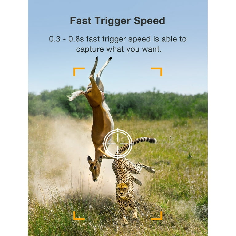 deer camera walmart