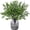 Green, variant on 6 Pcs Faux Flower Fake Babys Breath Flower Bulk Artificial Gypsophila Bouquet Silk Floral for Home Kitchen Bedroom Festival Wedding Xmas Party Decor (Orange)
