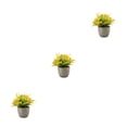 thumbnail image 3 of Decodeary Green Eco-friendly Artificial Money Tree In Pot Long-lasting Durability Realistic Appearance orange rose 3Set, 3 of 6