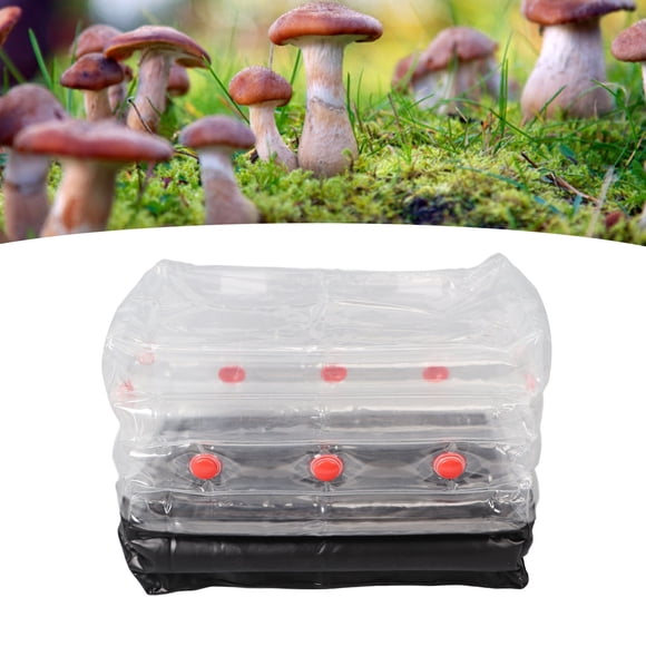 Inflatable Mushroom Grow Kit, Durable Easy To Use Square Small Mushroom Grow Kit  for Mushroom Planting