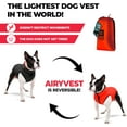 thumbnail image 5 of AiryVest Lightweight Reversible Winter Dog Coat - Warm Dog Jacket - Water Resistant Windproof - Insulated Dog Apparel for Small, Medium & Large Dogs - Comfortable Dog Puffer Vest - Red/Black, 5 of 6