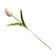 thumbnail image 4 of Bearachild Mini flor artificial, lirio único, tulipán, flor monarca, flor falsa de PU, decoración para el hogar y la Oficina, decoración para Flores artificiales Rosa claro Bearachild HA6563-05B, 4 of 6