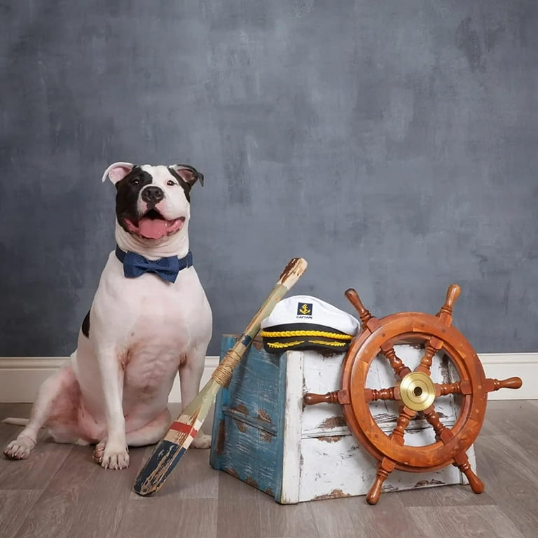 Bow Tie Male Dog Accessories Lionet Paws Boy Dog Collar With