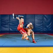 BalanceFrom 10ft x 4ft x 2in 4-Panel All-Purpose Folding Gymnastics Mat, Blue