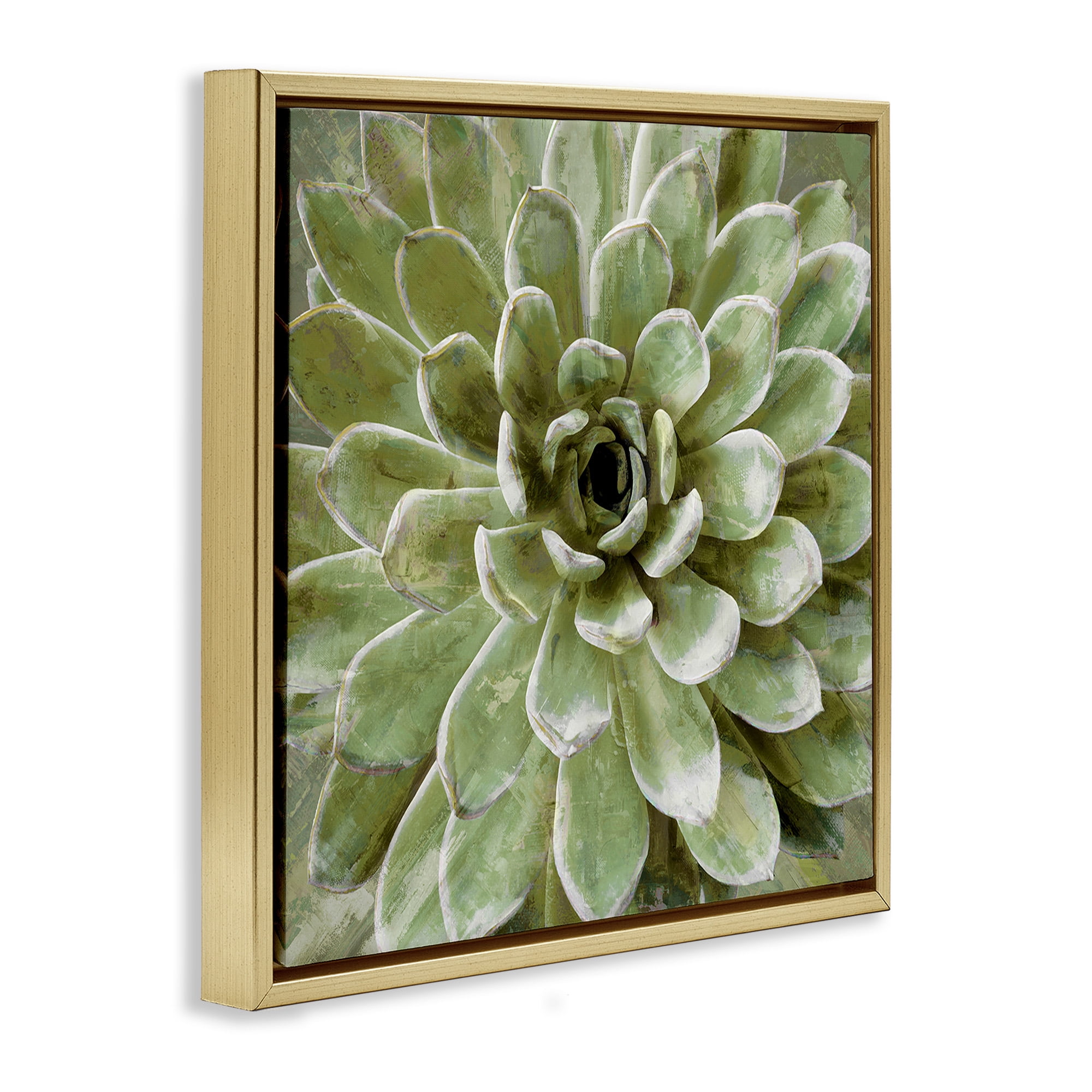 Stupell Industries Green Botanical Succulent Bloom Botanical & Floral Painting Gold Floater Framed Canvas Art Print Wall Art, 25 x 25
