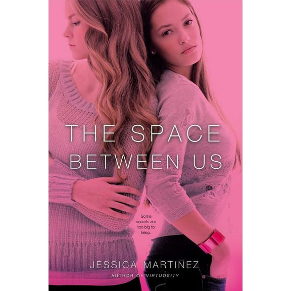 The Space Between Us (Paperback)