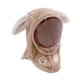 thumbnail image 1 of Gorro de invierno para niños, mascarilla facial a prueba de viento con orejas de animales, pañuelo para la cabeza, cubrebocas con capucha Orejas de Conejo Caqui, 1 of 9