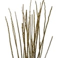 thumbnail image 2 of Vickerman 36-40" Light Basil Caba Spine Bundle. Includes 24oz (3 -8oz Bundles), Dried, 2 of 5