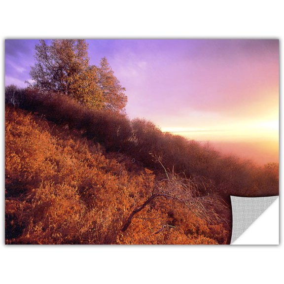 Dean Uhlinger Fire Light, Art Appeelz Removable Wall Art Graphic