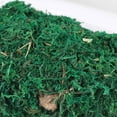 thumbnail image 4 of Artificial Dried Moss Decor Flower Hanging Baskets Plant, 4 of 6