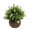 H, variant on Artificial Plants In Indoor Pots, Ongmies Mini Plastic Faux Plants, Small Artificial Potted Plants, Greenery In Hemispherical Pots for Table & Home Decor