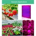 thumbnail image 3 of Quantum Panel Plant Light LED Red and Blue Spectrum Plant Grow Light Indoor Grow Lights, 3 of 7