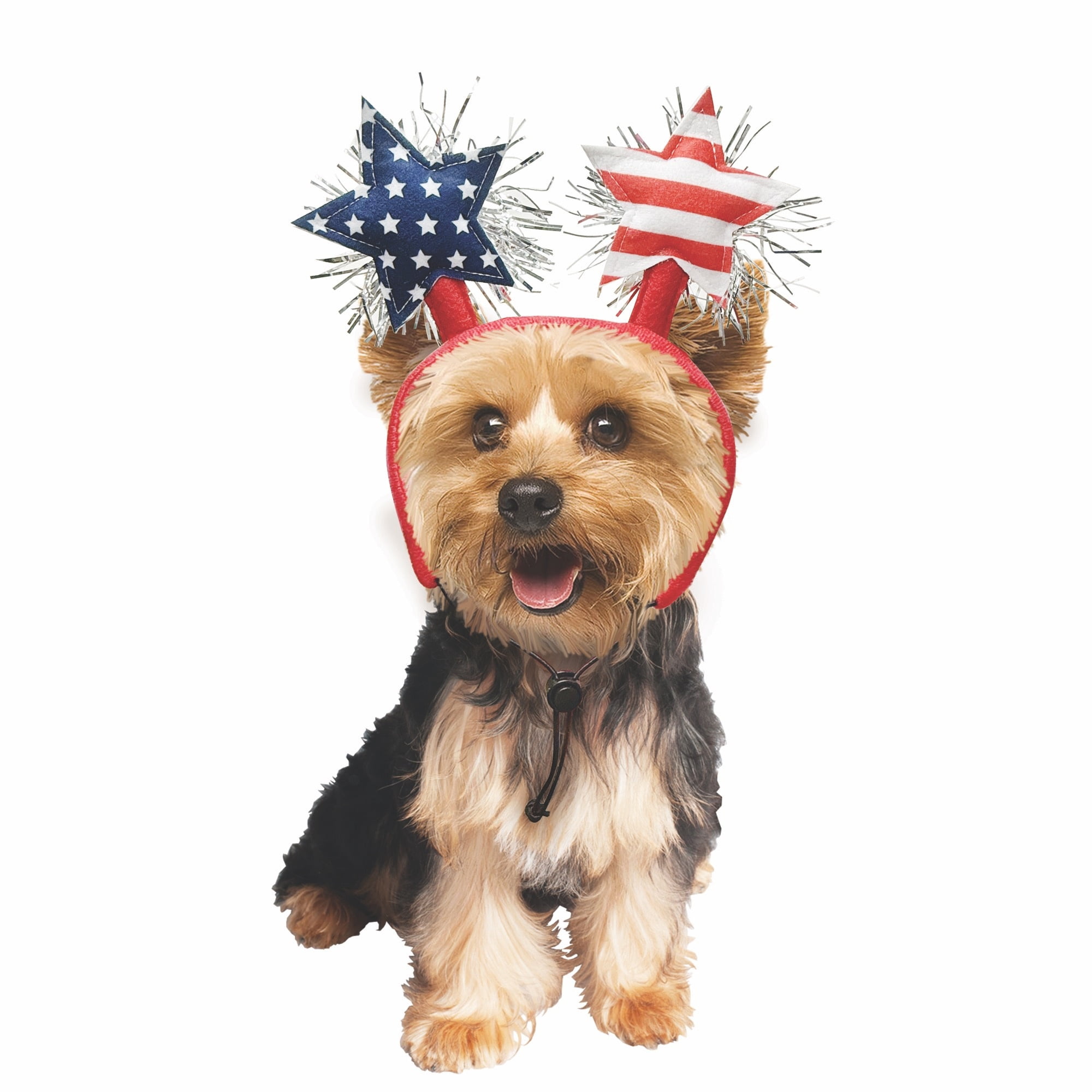 Vibrant Life Stars Pet Headband for 4th of July, Red White Blue, Medium/Large