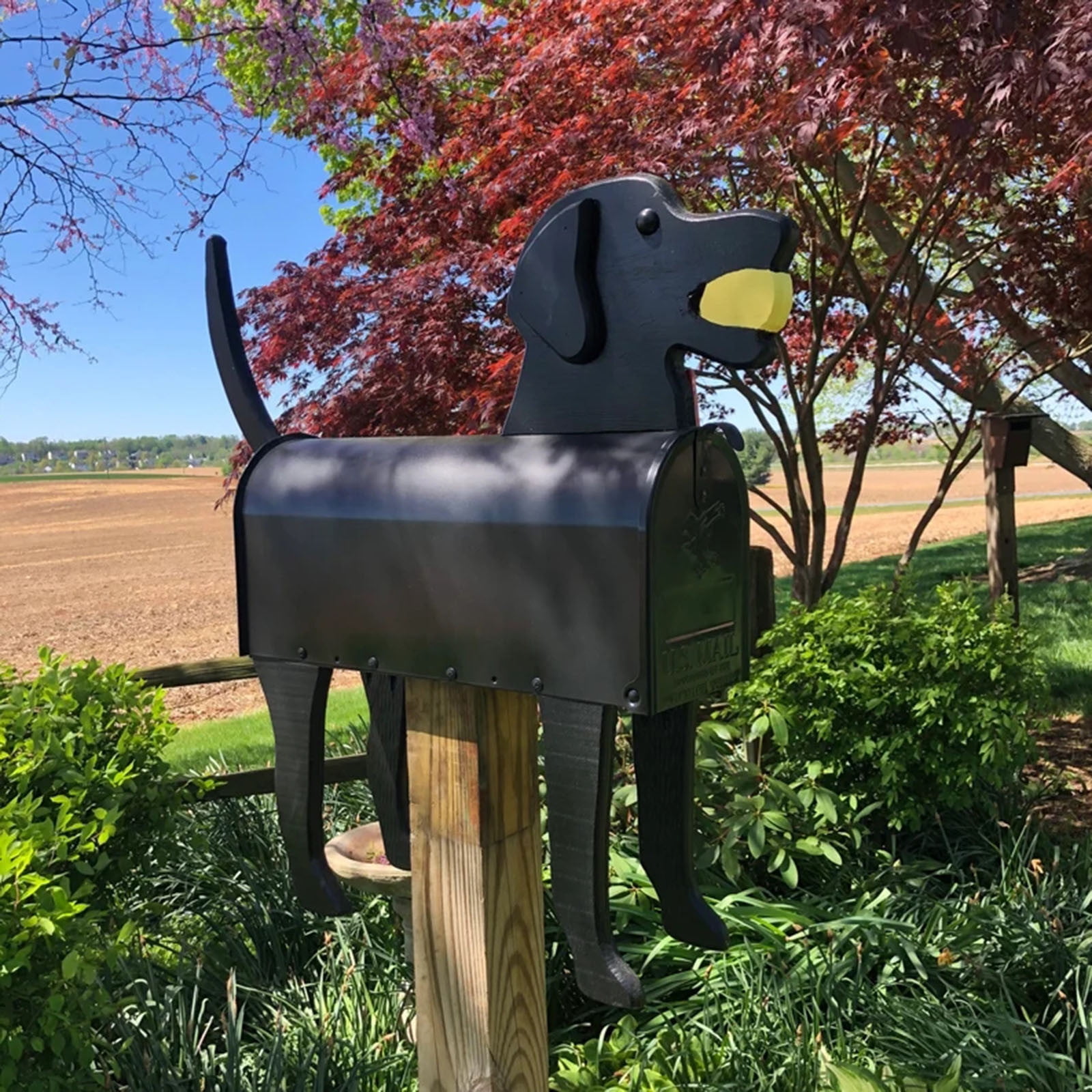 Personalized Shaped Mailbox,Creative Mailbox Animals Post Box,Creative Personalized Mailbox with Cute Shape for Garden Yard Decor Perfect for Farm Or Garden