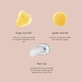 thumbnail image 5 of Brillo voluminizador vegano Jouer Essential Lip Enhancer, 15 ml, 5 of 5