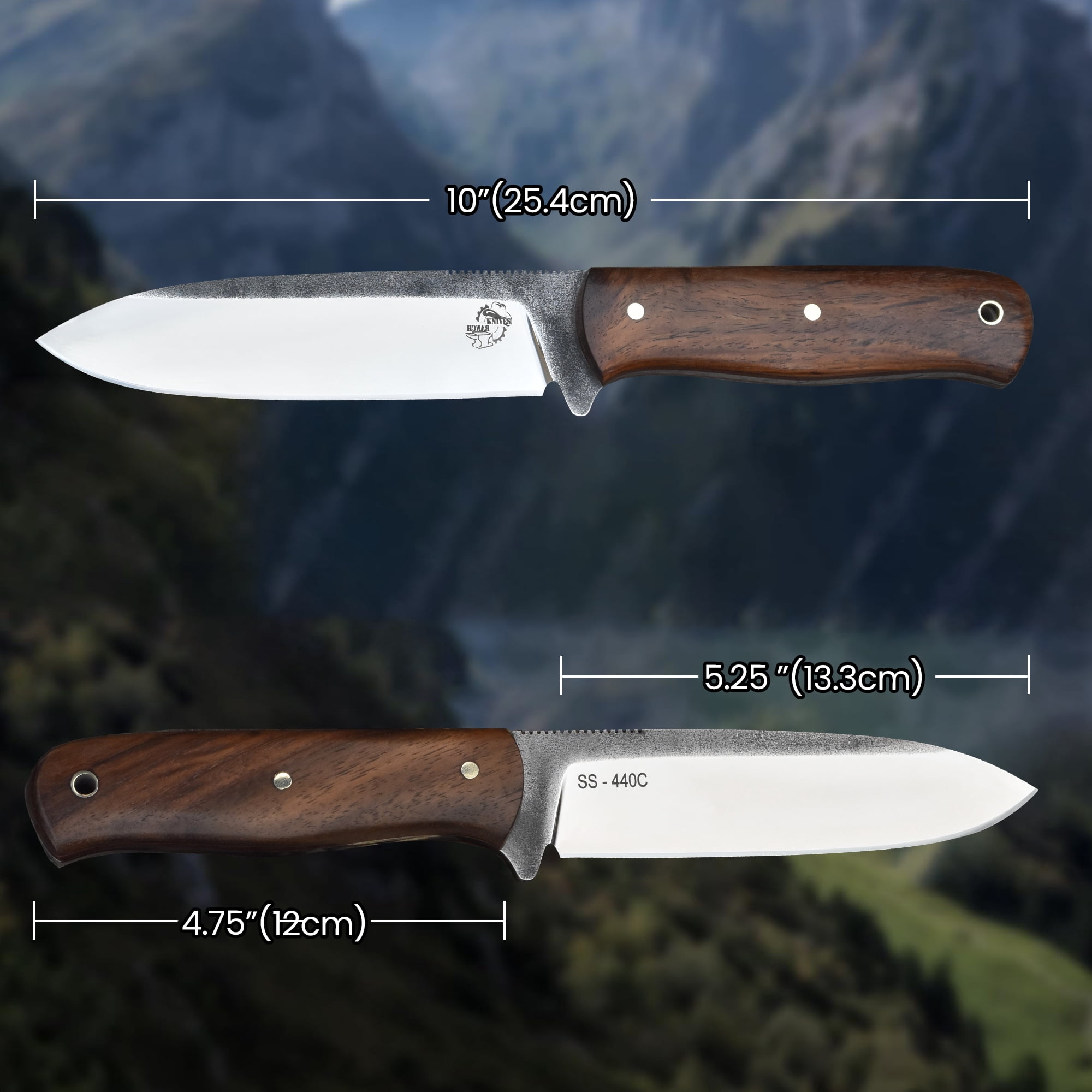 Knives Ranch 3091 440C Steel Bushcraft Knife with Rosewood Handle – Fixed Blade Outdoor Knife for Camping, Survival, Hunting & Utility Use
