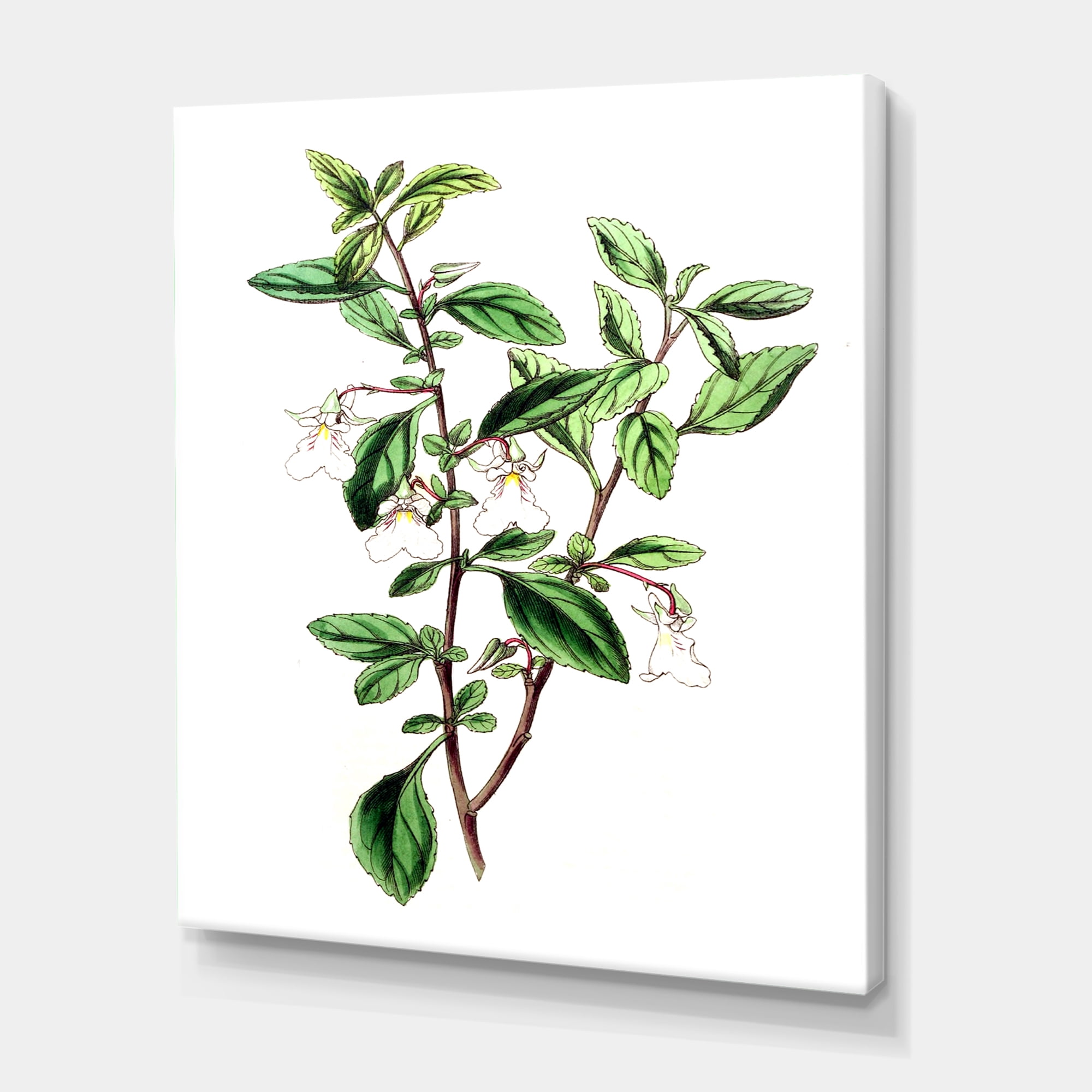 Designart ' Ancient Green Leaves Plants VII ' Traditional Canvas Wall Art Print