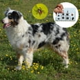 thumbnail image 4 of Tarjeta para garrapatas con lupa | Limpieza rápida de garrapatas | Tarjeta con lupa para medir garrapatas | Tarjeta para garrapatas para perros y gatos en el, 4 of 6