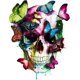 thumbnail image 1 of Otra decoración de pared 30x30cm 5d pintura de diamante mariposa y kits de calavera para adultos diamante arte cráneo, diamante Dotz para adultos gema arte pared decoración del hogar, 1 of 5
