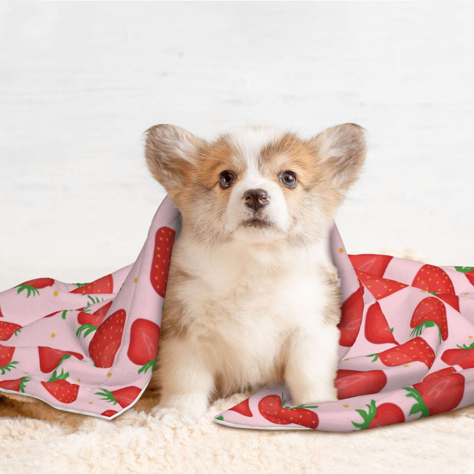 Naloa Strawberries Dog Blanket, 3 Sizes Cat Blanket for Indoor Cats Large Medium Small Dog Gifts-Large