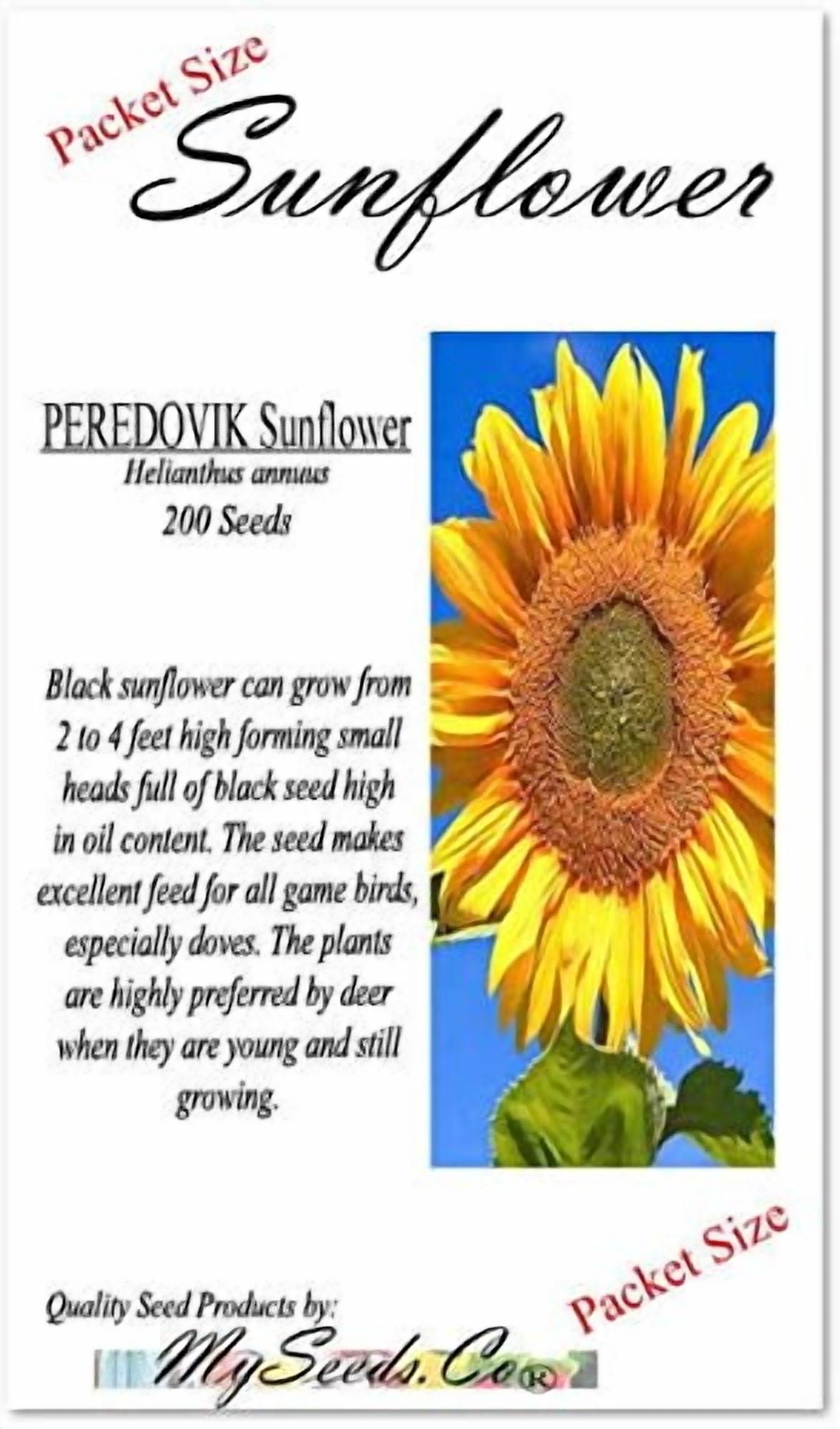 1 Lb (9,200+ Seeds) Peredovik Sunflower MVR1&nbsp;Seeds - Game Birds & Deer Favorite - Rich in Oil A+ for Plot Food Wildlife - Non-GMO Seeds by Myseeds.Co (1 Lb Peredovik Sunflower)