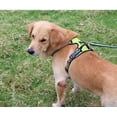 thumbnail image 2 of Correa para mascotas para perros pequeños, medianos y grandes, ropa para perros, ropa para mascotas, artículos para mascotas (negro XXL) Sailing Electrónica, 2 of 2