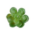 thumbnail image 2 of 10x Fake Succulents Small Vivid Useful Simulated Plants Multi-functional Lifelike Photo Props for Household Yards Lawn Flowerpot Type 34, 2 of 9