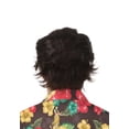 thumbnail image 3 of Ace Ventura Perruque, 3 of 3