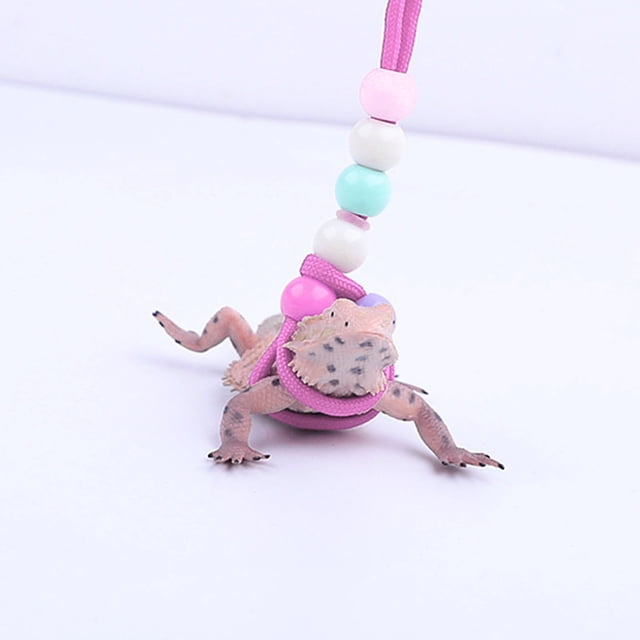Lizard Traction Rope, Cool Lizard Reptile Harness Leash Adjustable Design Durable Bearded Dragon Lizard Leash Harness