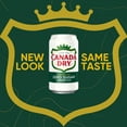 thumbnail image 2 of Pack of 2 - Canada Dry Zero Sugar Ginger Ale Soda, 12 Fl Oz Cans, 12 Pack Packaging May Vary, 2 of 3