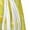 White, variant on Bright Lemons Print Women's Sports Shorts with Drawstring Elastic Waistband for Running, Yoga, Fitness-Large