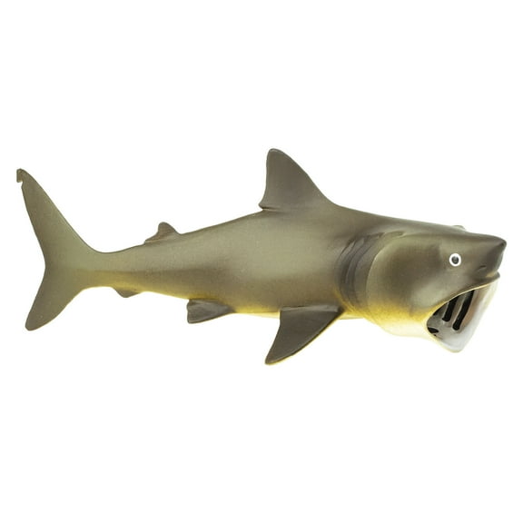 Safari Ltd. Basking Shark Figurine - Lifelike 5.75" Model Figure - Educational Toy for Boys, Girls, and Kids Ages 3 