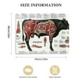 thumbnail image 3 of Orinice  Angus Beef Chart Meat Cuts Diagram Canvas Art Poster and Wall Art Picture Print Modern Family bedroom Decor Posters   20x16in, 3 of 6