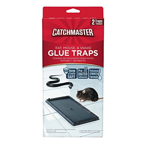 Catchmaster 402 Baited Rat Mouse And Snake Glue Traps Professional Strength 2 Pack Walmart Com