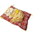 thumbnail image 1 of Sleeping Cats Plush Stuffed Toy Press Simulation Sound Animal Cute Doll Kids Gift, 1 of 6