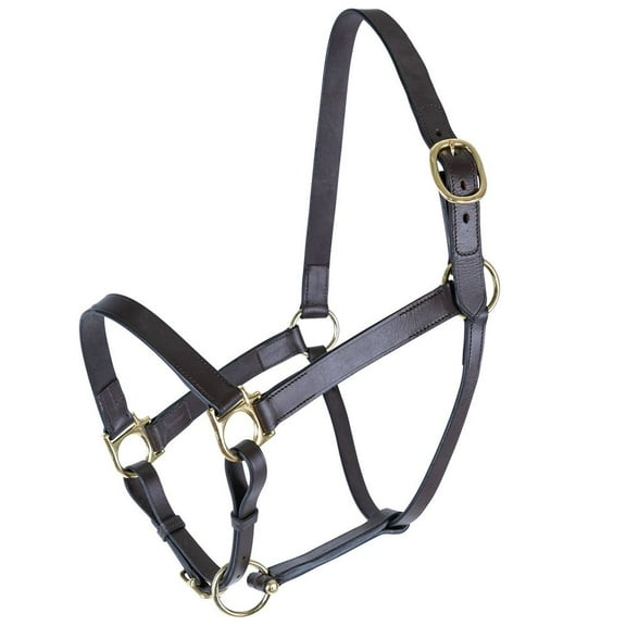 Schneiders Premier Lancaster Fixed Throat Leather Halter | Havana | Full Size