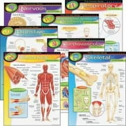 TREND The Human Body Learning Charts