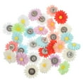 thumbnail image 1 of HLONK 30Pcs Daisy Flower Push Pin Bulletin Board Push Pin Cork Board Thumb Tacks, 1 of 8