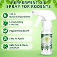 thumbnail image 2 of JahyElec Rodent Repellent Peppermint Oil Spray,2-bottle(120ml) pack for Mice/Mouse Rats & Rodents Natural Spray for Indoor & Outdoor Use Natural Armor Rodent Shield, 2 of 10