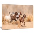 thumbnail image 1 of Design Art Herd Gallops in Sand Storm Canvas Print, 1 of 3