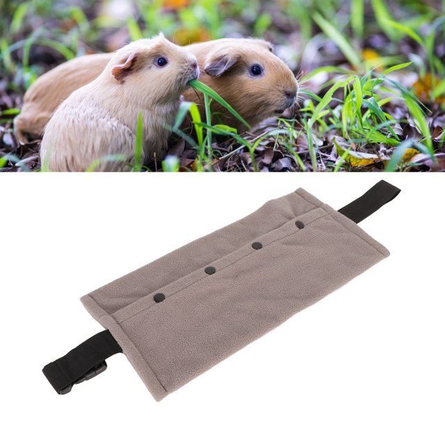 Portabebés Para Reptiles, Portabebés Para Lagartos, Amplio Espacio Para Acampar