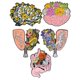 thumbnail image 2 of 5pcs Clothes Brooches Metal Lapel Pin Decorative Organ Brooch for Hat Scarf Suit, 2 of 4
