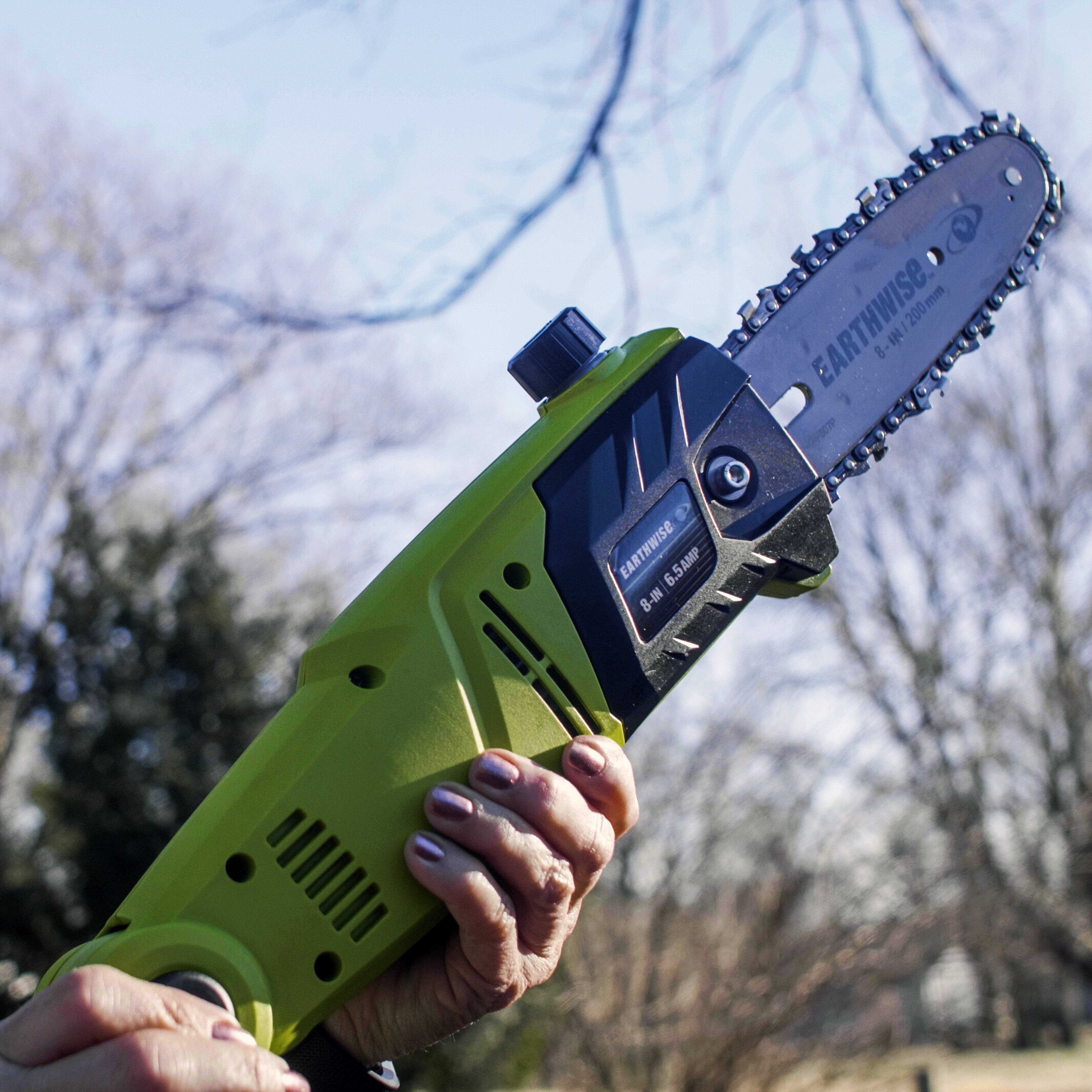 Earthwise on sale pole saw