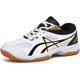 thumbnail image 1 of Xishao Zapatos de squash modernos para cancha de tenis para mujer, zapatos de pickleball, zapatos de bádminton, zapatos de entrenamiento de voleibol para interiores Xishao ropa, 1 of 2